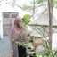 desy zulfa