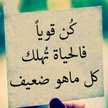 ام النشاما