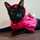 Cat Lady Cat Lady