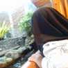 Alis Nurhasanah Alis Nurhasanah