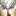 aliciamoron12 aliciamoron12