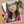 Cece Wanti 