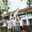 Thanh Le Thi Bich
