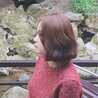 thu hang