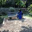 RafLi Collect
