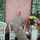 Nur Fitriah Ria Nur Fitriah Ria
