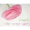 Nour San