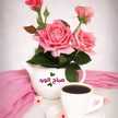 Siham Siham