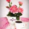 Siham Siham Siham Siham