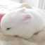 Cl�udia Gispert