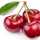 Sweet Cherry Sweet Cherry