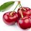 Sweet Cherry