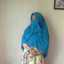 Wulan Dwi Indah Putri