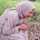 Dwi Susanti Dwi Susanti