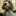 ann.stricker ann.stricker