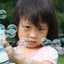 Ying Hui Yen