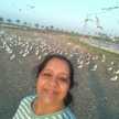 Harsha Gohil