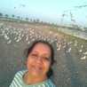 Harsha Gohil