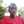 William Mwema