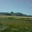 mañanita decampo