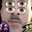 Beez Cerbopls