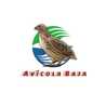 Avícola Baja