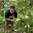 Aristio P Putra