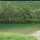 Tayyaba Tayyaba