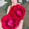 Alishba Memon Alishba Memon