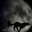 Howler Moon
