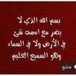 أم محمد منير