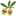 Lore Olive Lore Olive