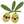 Lore Olive Lore Olive