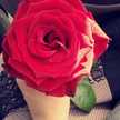 Am Rayan