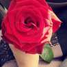 Am Rayan