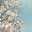 Amjad_260