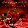 نجمة حمص