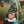 Frizca Fellicita Marcelly Lumentut Frizca Fellicita Marcelly Lumentut