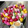 Lily4444