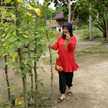 Susilawati Sayuti
