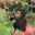 Iqa