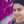 Anshu Dua