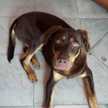 Graciela Bordon