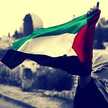 ليمار نور الدين 