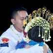 Elis Krisna