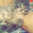 oum jana 12