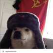 Tomas