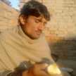 Muhammad Bilal