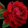 Asmat Sayd