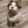 Ambi